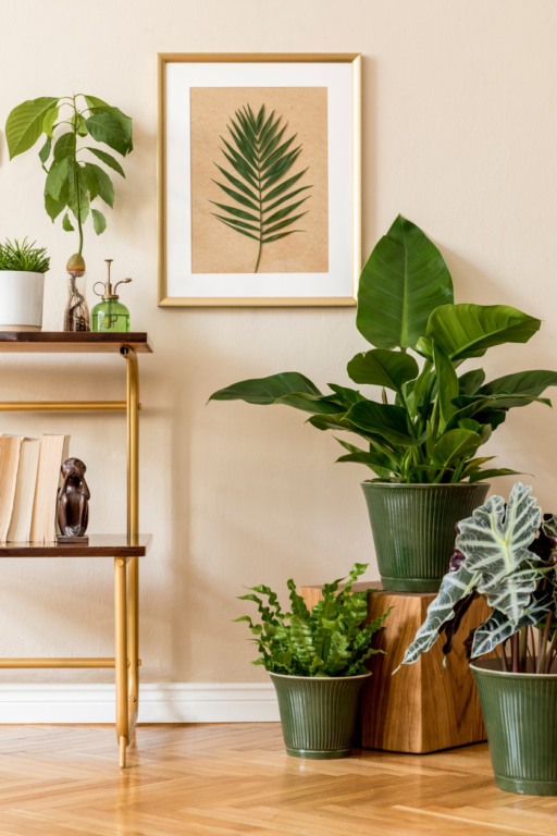 decorar apartamento alugado