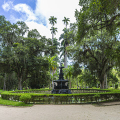 Jardim Botânico casas