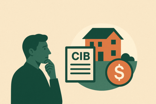 Cadastro Imobiliário Brasileiro
