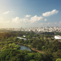 Morar perto do Parque Ibirapuera